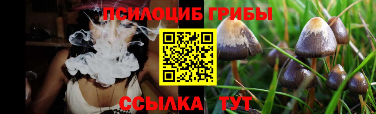 Псилоцибиновые грибы Psilocybine cubensis  Вход с VPN  Кумертау 